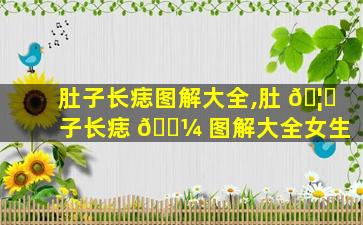 肚子长痣图解大全,肚 🦄 子长痣 🐼 图解大全女生